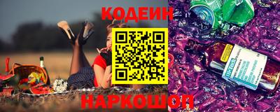 СК Камень-на-Оби