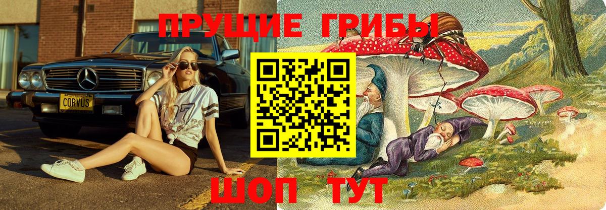 Лесной  Галлюциногенные грибы прущие грибы  где можно купить наркотик  Вход с VPN 